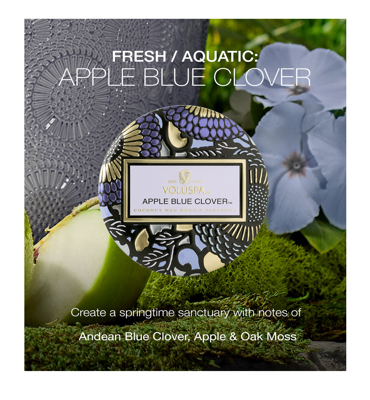 Fresh/Aquatic: PPLE BLUE CLOVER  Create a springtime sanctuary with notes of Andean Blue Clover, Apple & Oak Moss