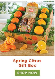 Spring Citrus Gift Box