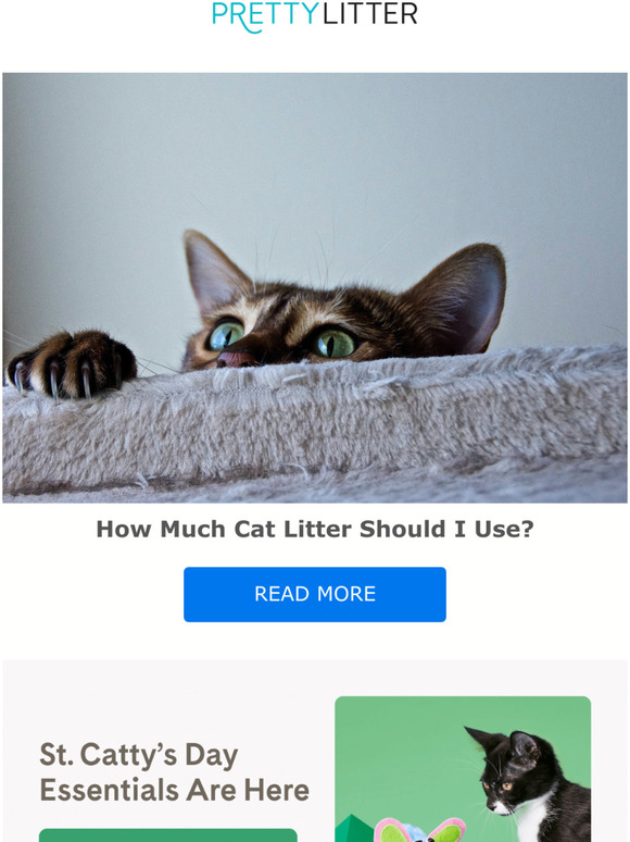 Pretty Litter The Art of Pouring The Perfect Amount of Cat Litter Milled