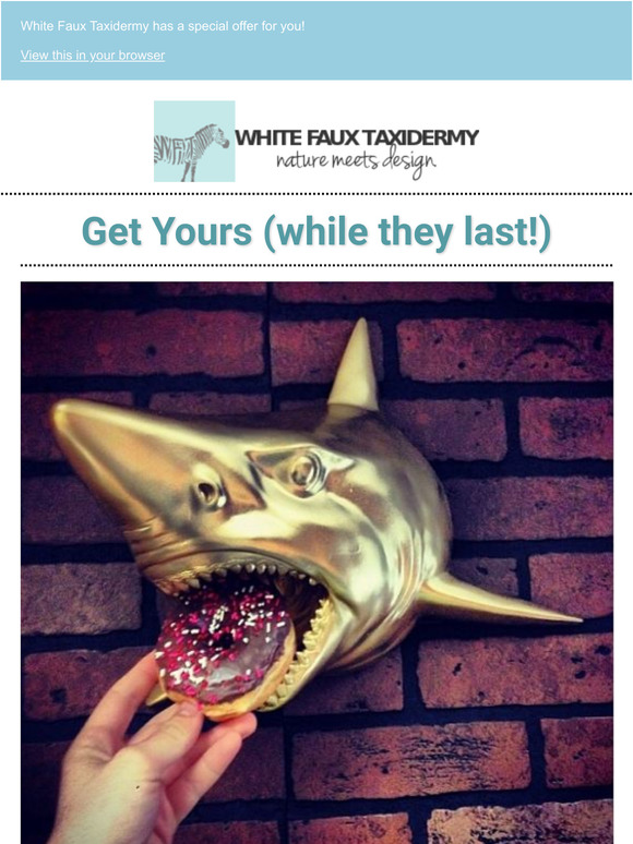 Back in Stock! Longhorn, Shark, Deer Skull, Wolf & more...