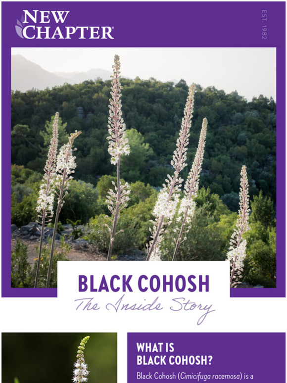 New Chapter Hot Flashes? Herbs Can Help! Milled