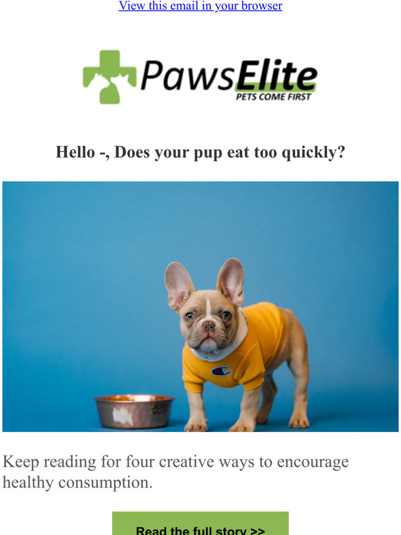 Does your pup eat too quickly?