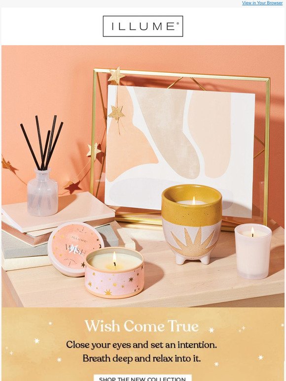 Introducing, Wish Come True 