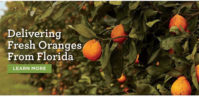 Delivering Fresh Oranges from Florida