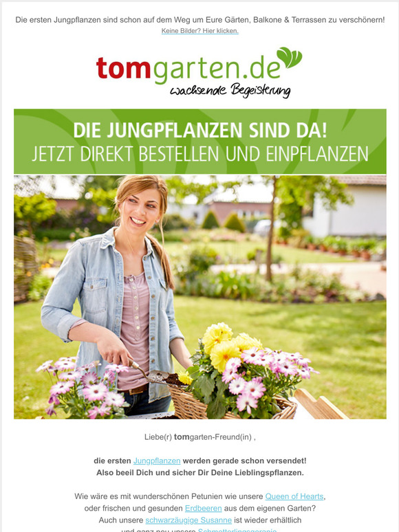 TOM GARTEN ProfiSaatgut und Pflanzenversand Jetzt zugreifen Die