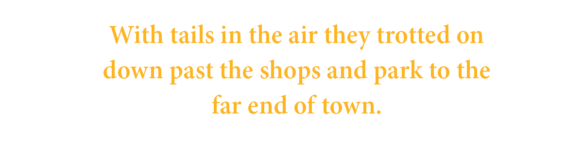 With tails in the air they trotted on down past the shops and park to the far end of town. 