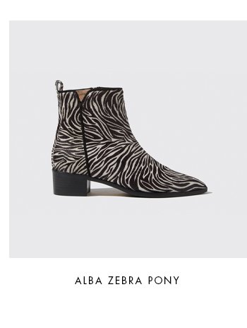 Alba Zebra Pony