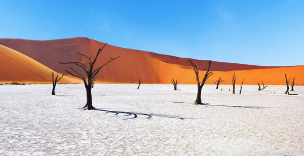 A la découverte du plus vieux désert du monde