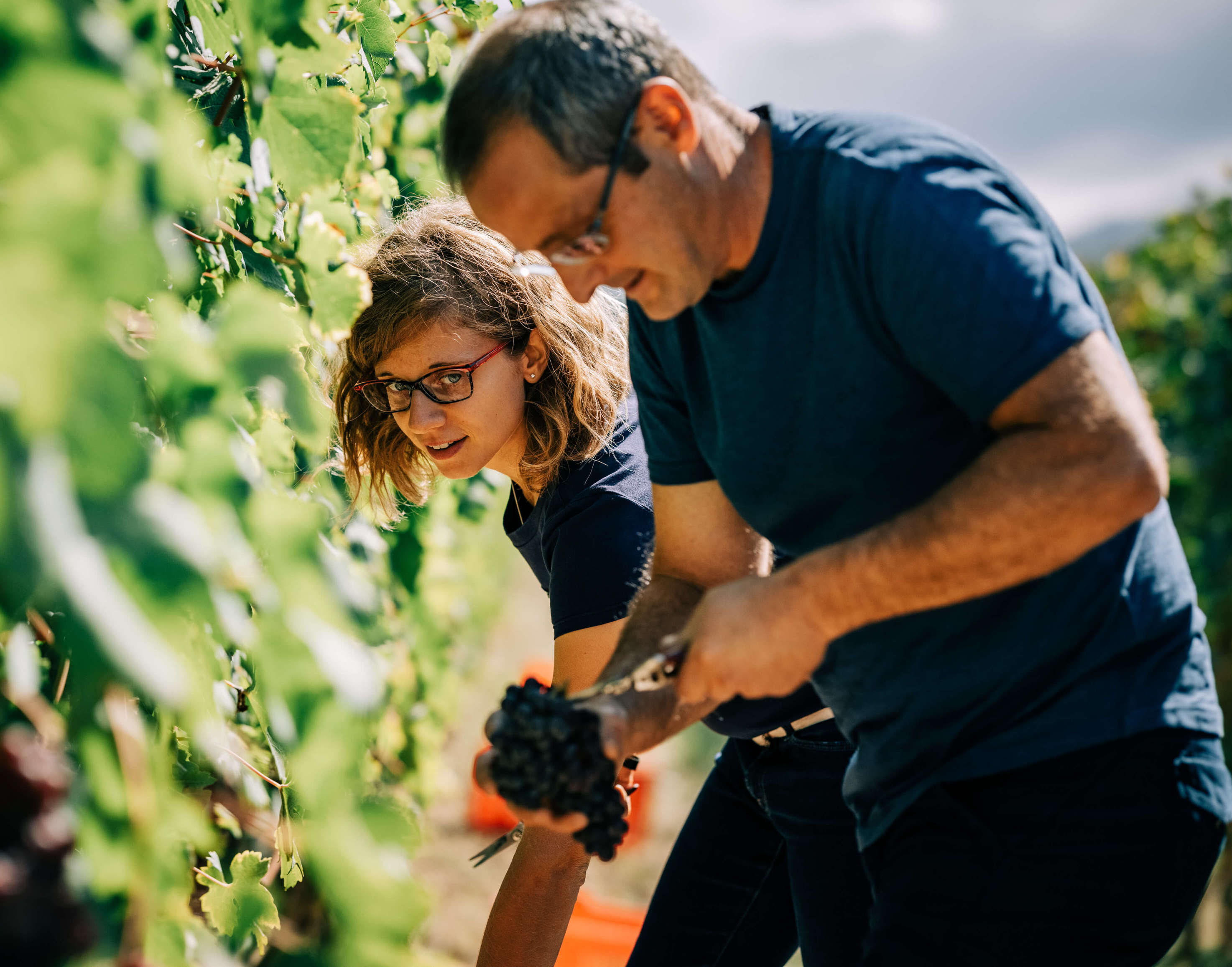 VeroVino: The Woman with Barolo in her Blood | Milled