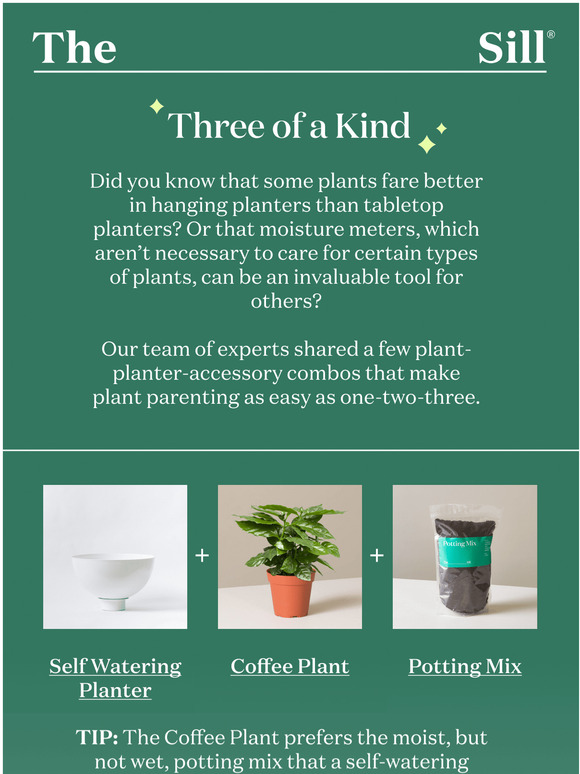 The Sill 3 expert ways to perfect your plant setup Milled