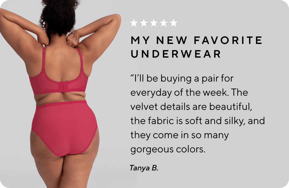 Honeylove: My new favorite underwear! - Our NEW Silhouette Brief