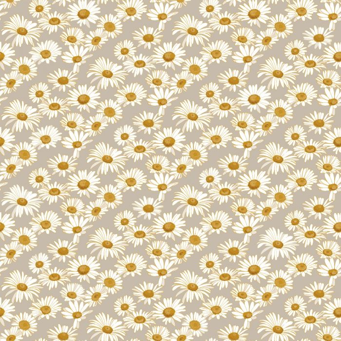 Daisies