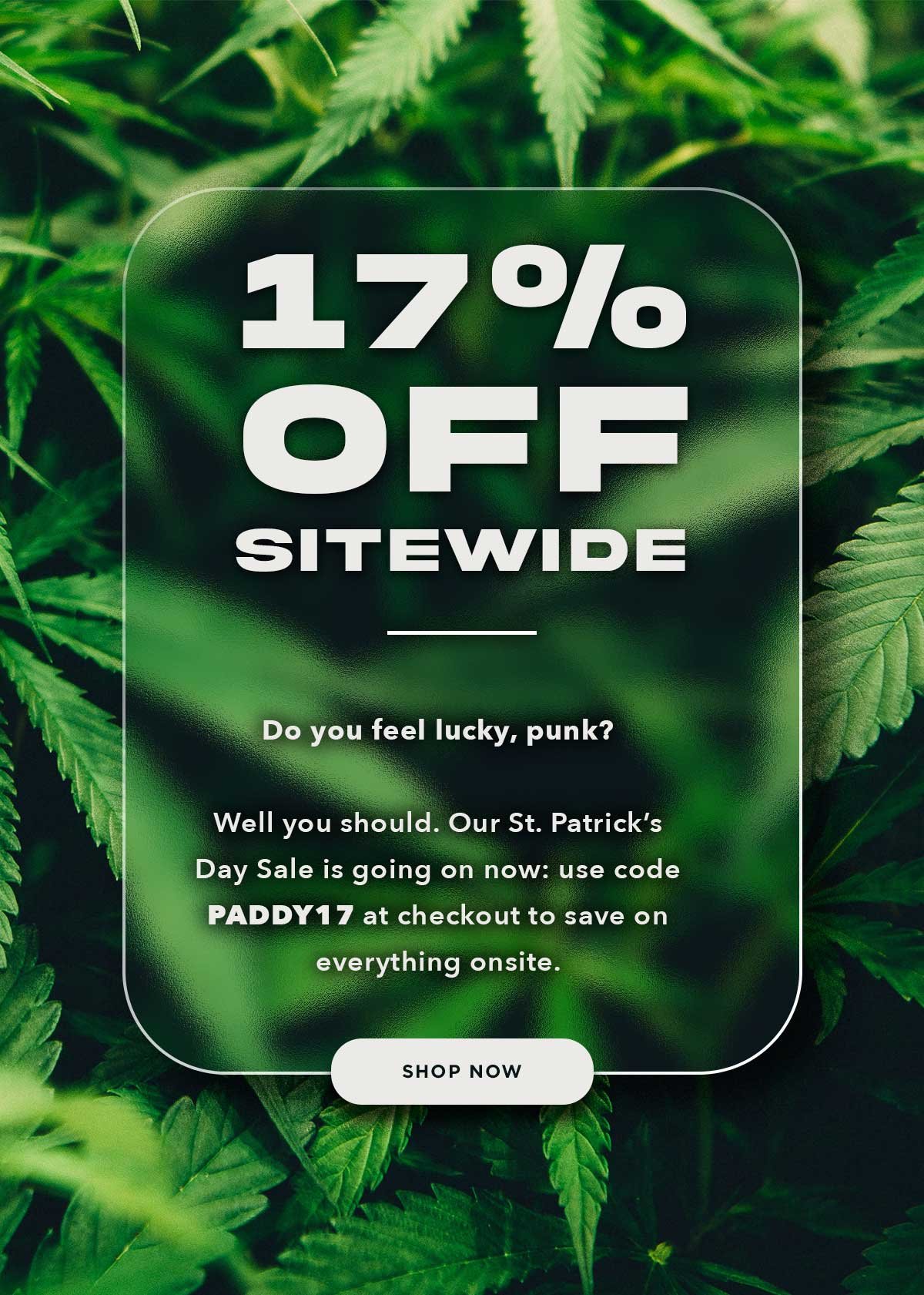 St. Patrick's Day Sale: 17% Off Sitewide with code PADDY17