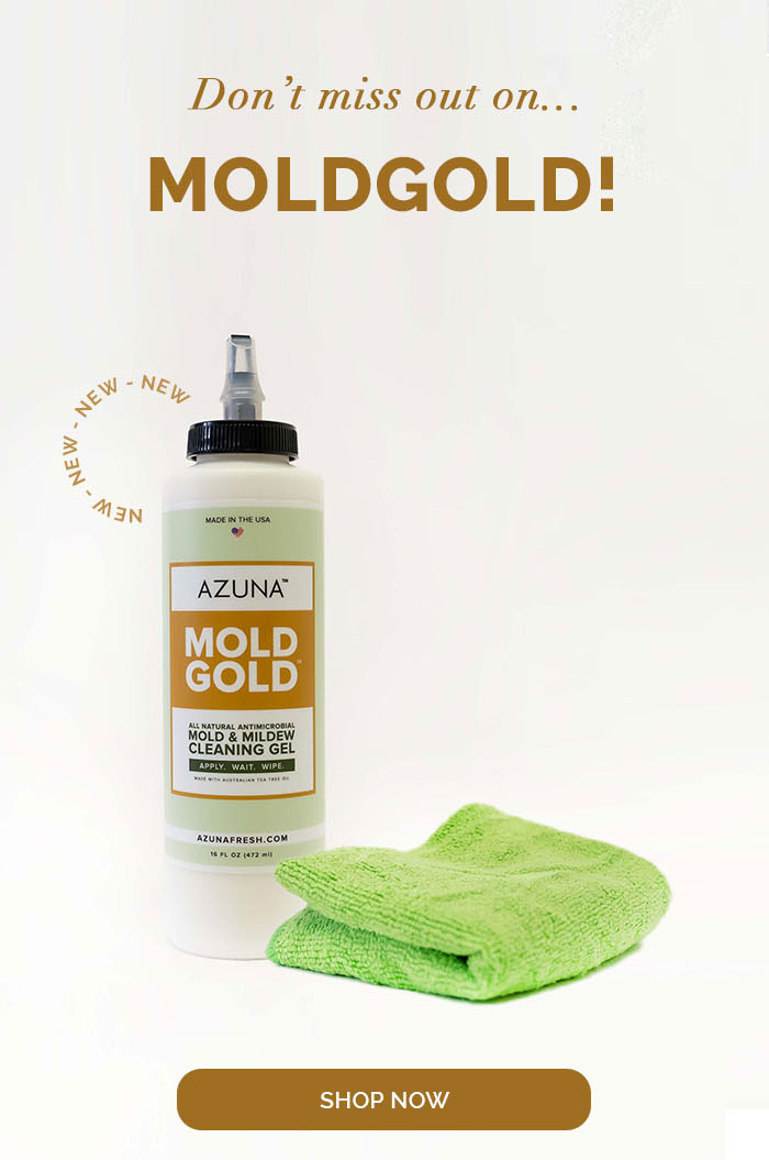 Announcing Mold Gold!