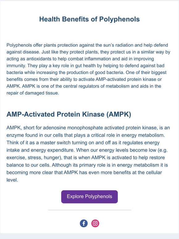 Zone Diet The Powerful Health Benefits of Polyphenols Milled