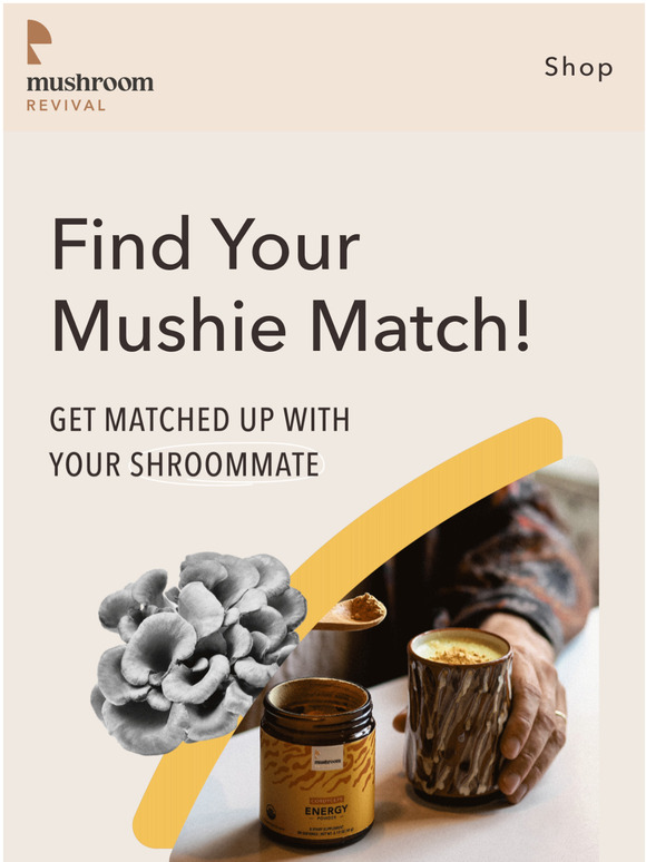 Mushroom Revival Not Sure Where to Start? Milled