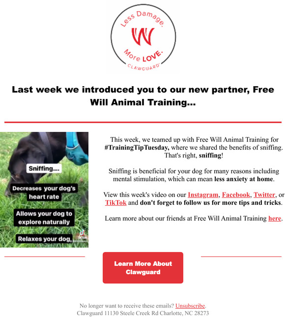 Help Curb Pet Anxiety