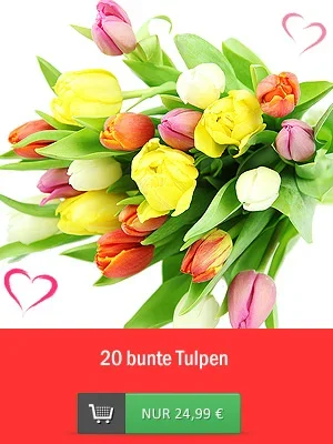 20x bunte Tulpen!