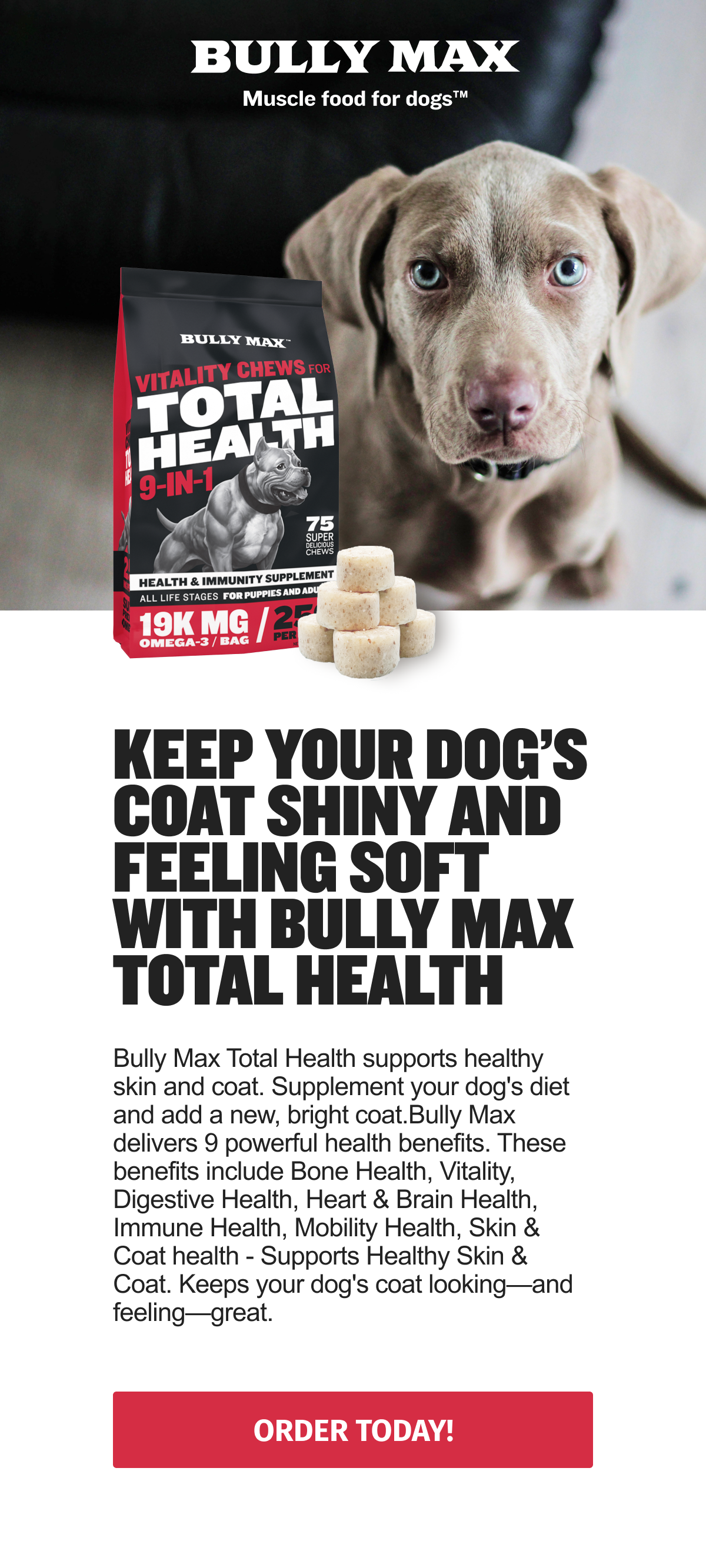 bully max soft chews