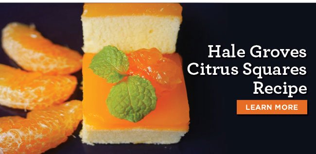 Hale Groves Citrus Squares Recipe
