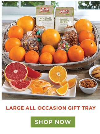 Large All Occasion Gift Tray