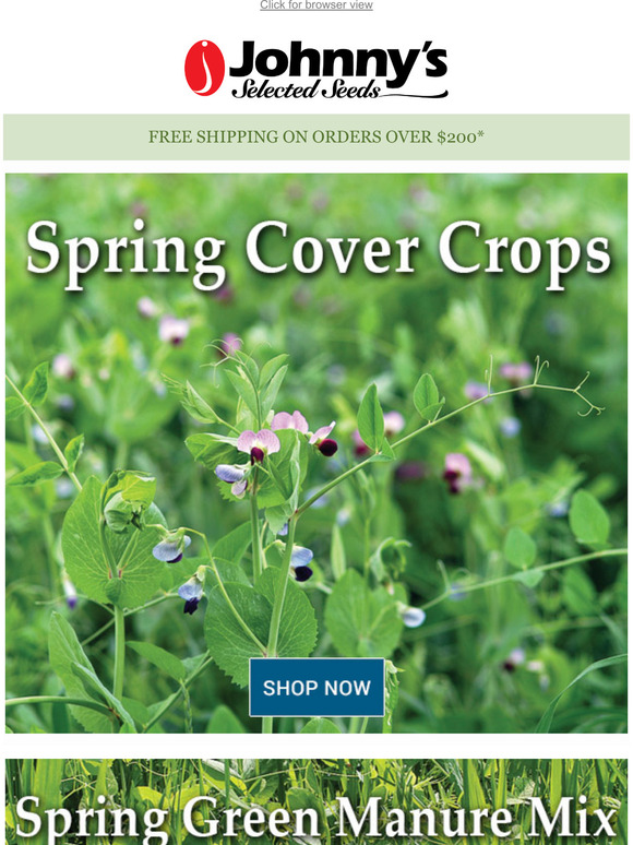 Plan for Spring with Cover Crops Milled