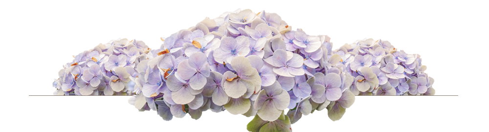PRETTY IN PASTEL