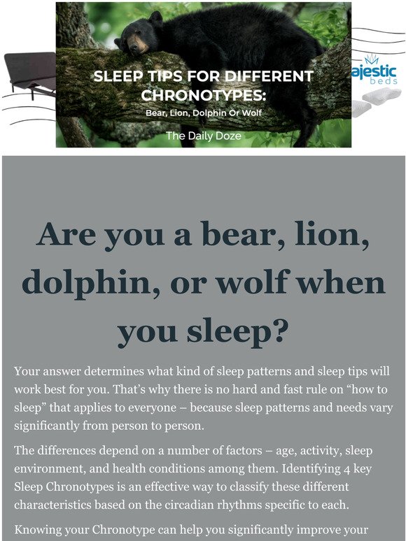 SLEEP TIPS FOR DIFFERENT CHRONOTYPES: Bear, Lion, Dolphin Or Wolf