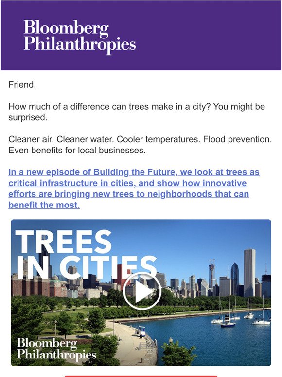 Trees are critical infrastructure