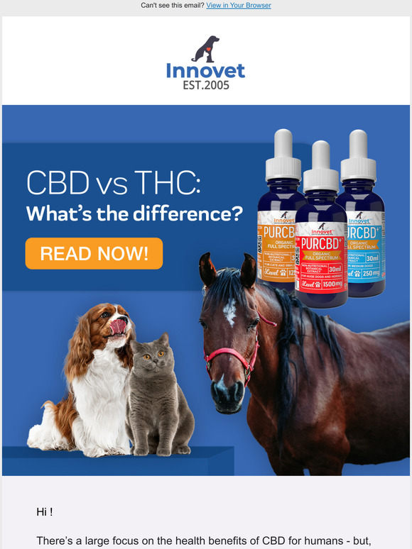  CBD vs THC: Whats the difference