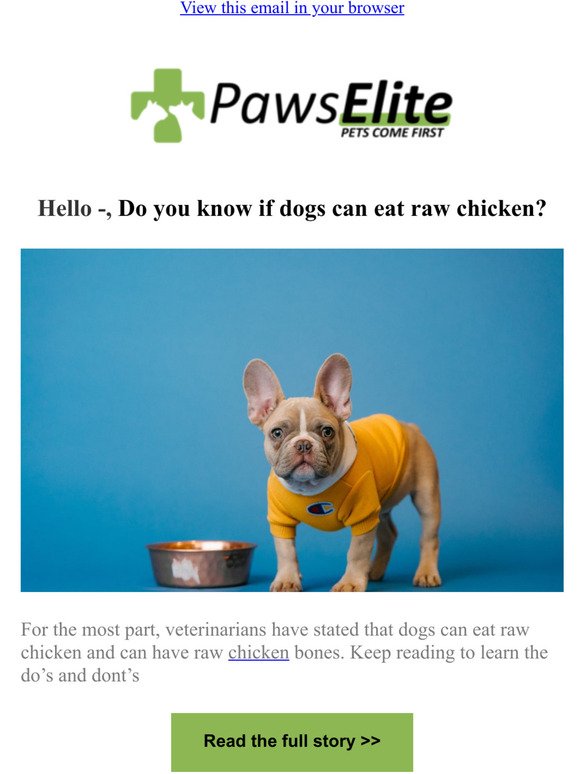 Is Raw Chicken Good or Bad for Dogs?
