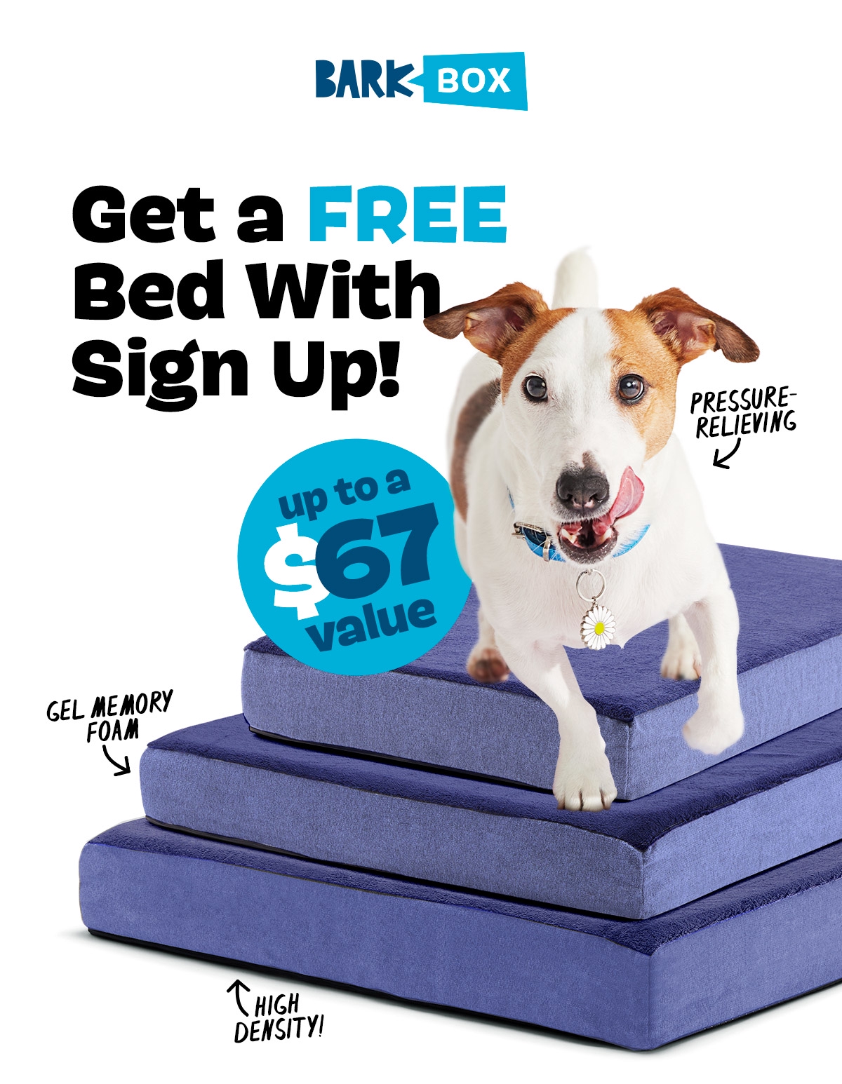 Barkbox EXTRA EXTRA, SLEEP ALL ABOUT IT Milled