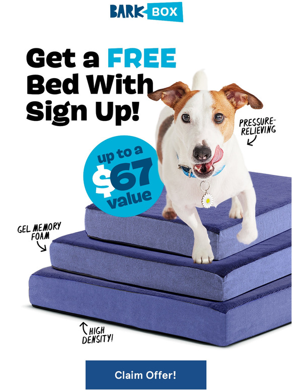 Barkbox EXTRA EXTRA, SLEEP ALL ABOUT IT Milled