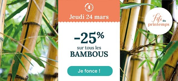 Jeudi 24 mars : -25% sur tous les Bambous