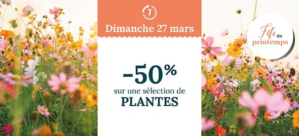 Dimanche 27 mars : -50% sur une sélection de Plantes
