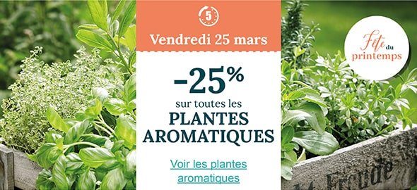 Vendredi 25 mars : -25% sur toutes les plantes aromatiques