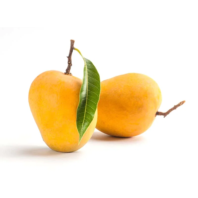 Image of Alphonso Mangoes - Box of 12
