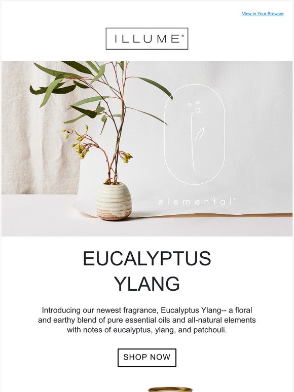 New For Elemental: Eucalyptus Ylang