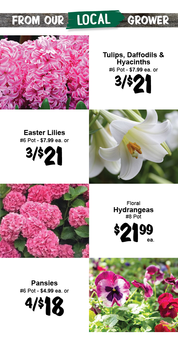 Stew Leonard's Gift Baskets Only at Stews Bunny Milk Is Back! Milled