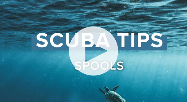 The GREATEST Scuba Diving Spots In The World