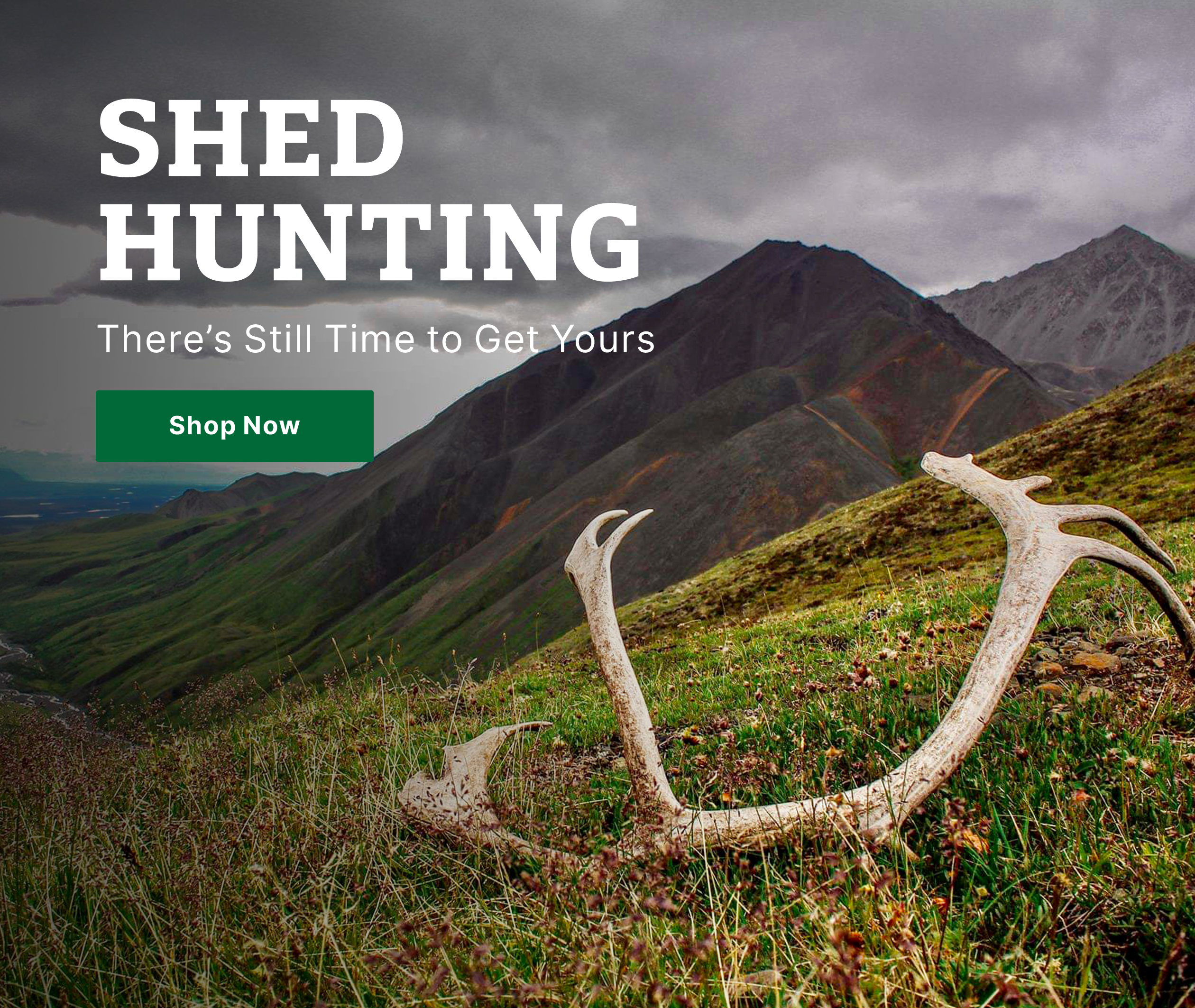 Sportsman's Warehouse Shed hunting gear to find the perfect crown Milled