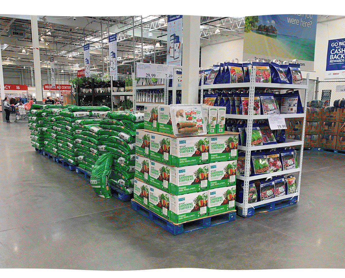 48 Plant Gardening Starter Kit in Costco