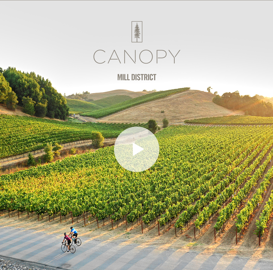 Robb Report Mill District Sets the New Standard for Downtown Living in