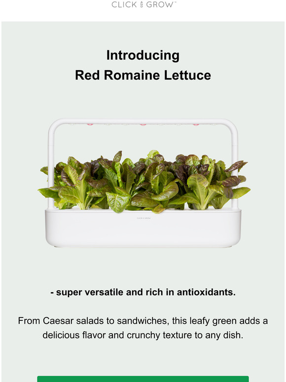 Click & Grow Meet Red Romaine Lettuce Milled