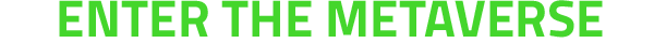 Enter the Metaverse