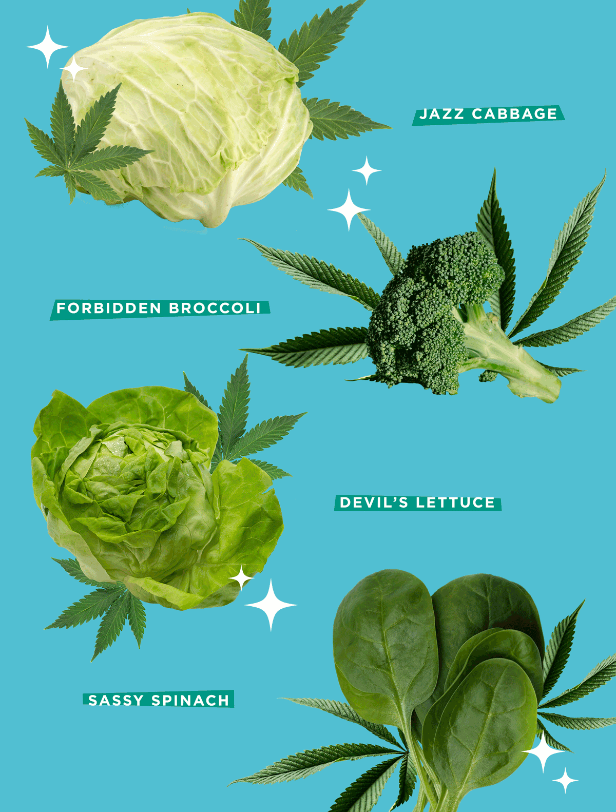 Transform your crops into THC-infused edibles!