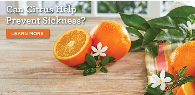 Can Citrus Help Prevent Sickness? 