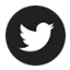 Twitter Icon