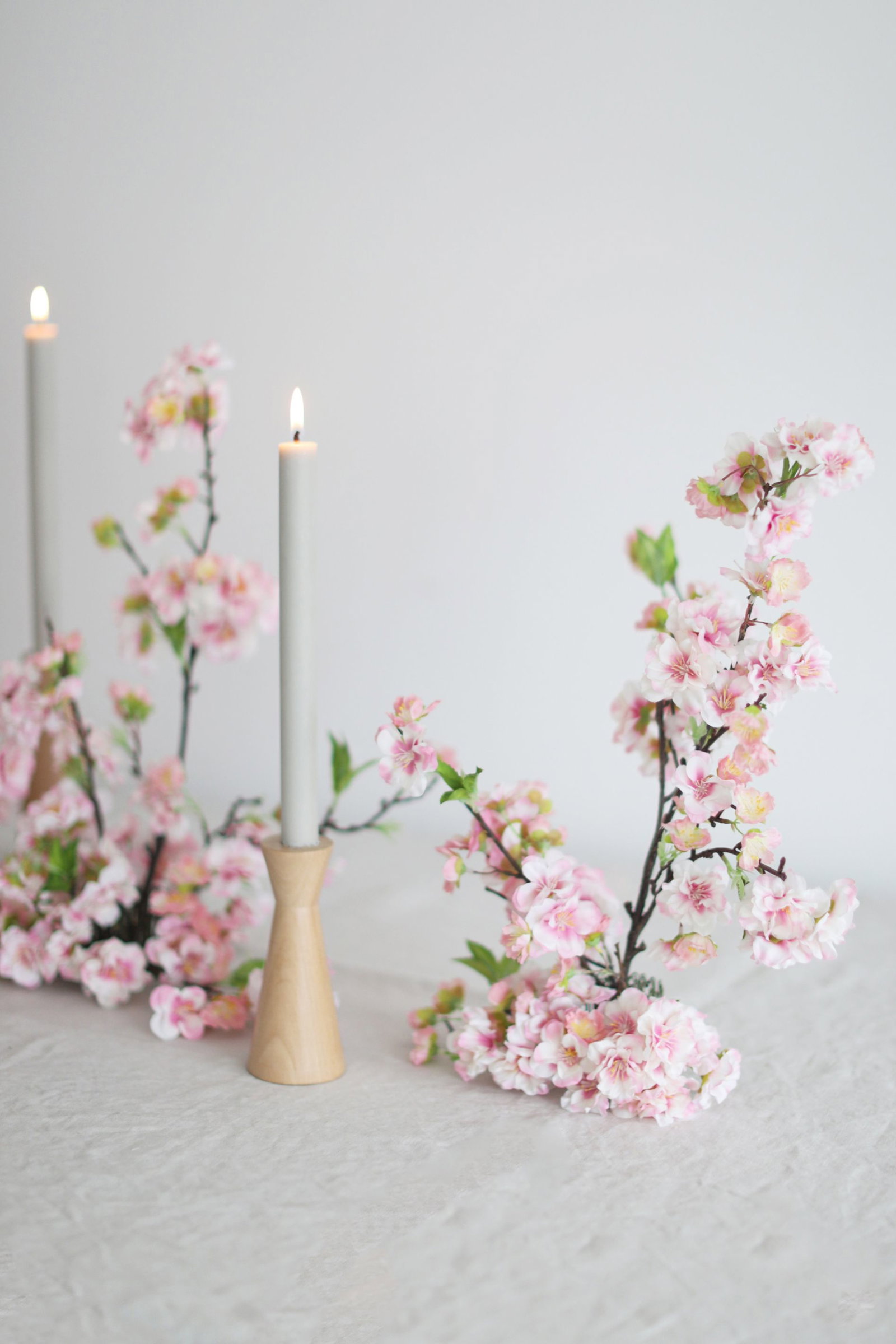 Shop Cherry Blossoms