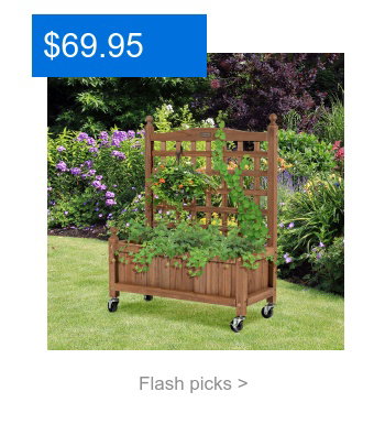 Flash Picks